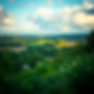 A serene landscape symbolizing wealth management and tranquility