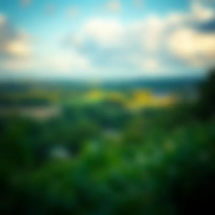 A serene landscape symbolizing wealth management and tranquility