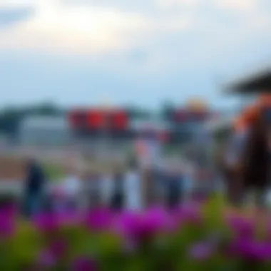 Race schedule overview for Laurel Park today