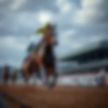 Thoroughbred racing at Laurel Park