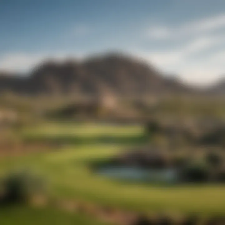 TPC Scottsdale golf course during the Phoenix Open